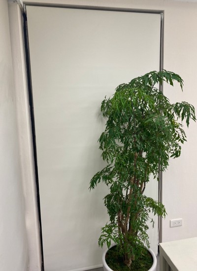 台北華威捲簾, 台北捲簾